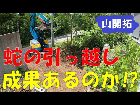 【山開拓】蛇の引っ越しで綺麗さっぱり！【後編】