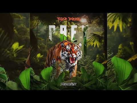 TIGER DROOL - PREY