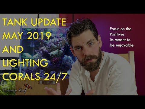 Reef tank update may 2019 and lighting corals 24/7