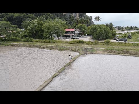 亚罗士打【Alor Setar Gunung Keriang】Drone Shot