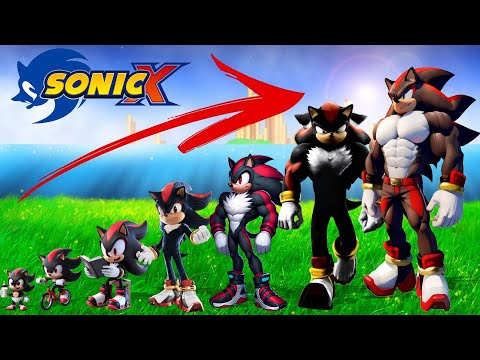 Sonic Movie 3 Life After Happy End Compilation | Cartoon Wow