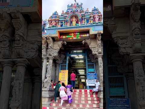 😱தென்காசி முருகன் கோவில் சம்பவம்🥹 #shorts #murugantemple #tenkasi #thirumalaikovil #murugankovil