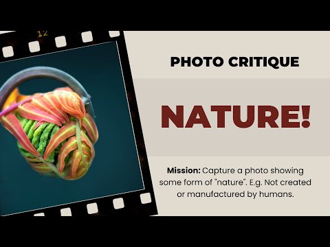 Photo Critique 217: NATURE