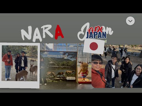 NARA DEER PARK / Trip from Osaka to Kyoto Station to Nara/ Our family Japan Trip 2023 Day 7 #japan