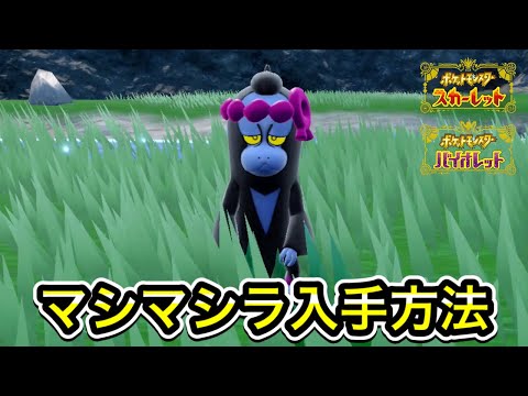 【ポケモンSV】マシマシラの入手方法！出現場所を教えます