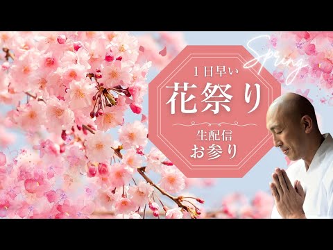 泉チャン✨花まつりイブ生配信。一緒に雑談&お参りしませんか？