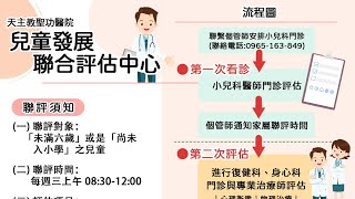 兒童發展聯合評估中心，整體流程