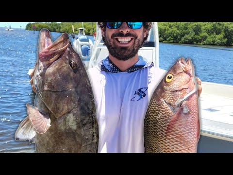 Grouper & Snapper Fishing Inside Tampa Bay