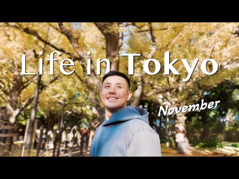 東京の秋 11月Vlog｜東京男子日常 Life in Tokyo