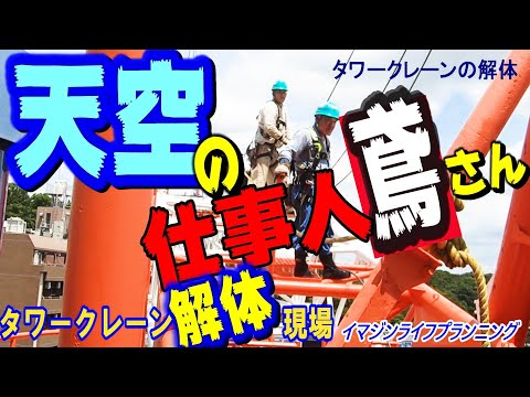 【現場取材番組】天空の仕事人「鳶」さん!! 　タワークレーンの解体!!