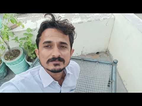 गमलों की साज सजावट Dr. R k Suthar के क्लिनिक के बाहर ll My Vlog Video ll