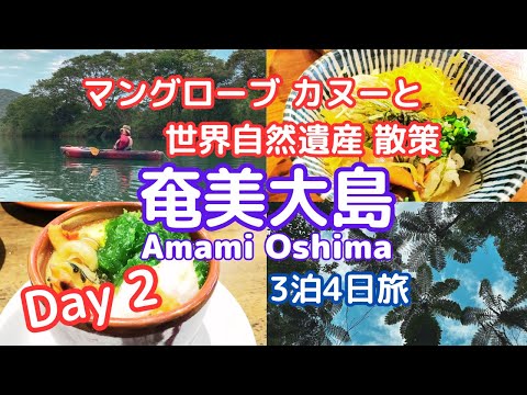 【Amami Oshima 4 Days #2】Mangrove Canoeing and Walking in Kinsakuharu, a World Natural Heritage Site