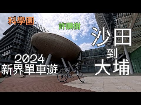 【新界單車一天遊2024】踩單車由沙田大圍到大埔林村 沙田城門河 大埔科學園 高錕會議中心 阿婆豆腐花 牛肉包 雞蛋仔 富善街街市 大埔林村 林村許願樹 新東江鷄飯店