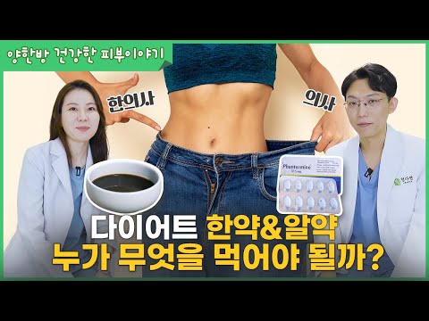 다이어트 한약 & 양약, 한의사와 의사가 이야기하는 '이런 분들이 드세요!'