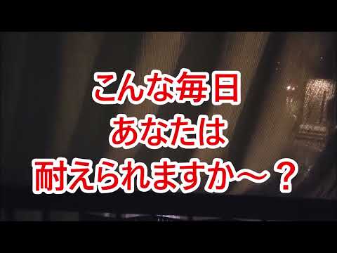 最UP⚠迷惑極まりない💦「クルド人騒音！」あなたは耐えられますか？※夜10時編　地元議員「新藤義孝氏」が国会で前向きに？寝れない！何とかして～💦