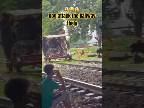 Railway Thela Vs Dog #funny#viralshorts