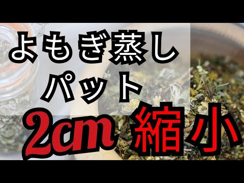 過去動画【切り抜き】《卵巣チョコレート嚢胞 》《約2cm縮小！》生理痛や生理不順も改善した事例☆◯◯やってみませんか？※効果は個人差あり