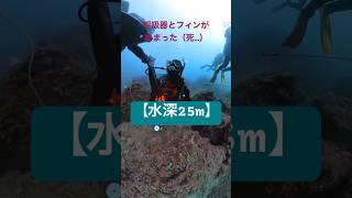 水深25mで呼吸器が外れる！？とりあえず現行犯逮捕。 #エンタメ #ダイビング   #海 #現行犯 #危険行為