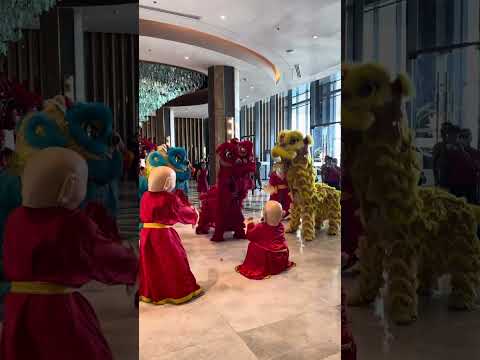 Cebu Chinese New Year 2024 | The Amazing Lion Dance at Fili Hotel - Nustar Resort and Casino