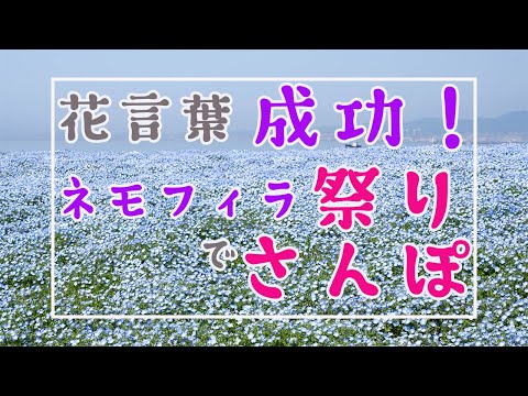 可憐！成功！清々しい心！そしてあなたを許す！