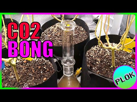 CO2 Bong! Best DIY CO2 Method for Growing Cannabis [YEAST + SUGAR]