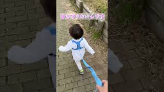 犬じゃないんだから…  #子供のいる暮らし #子育て #育児 #ハーネス #1歳