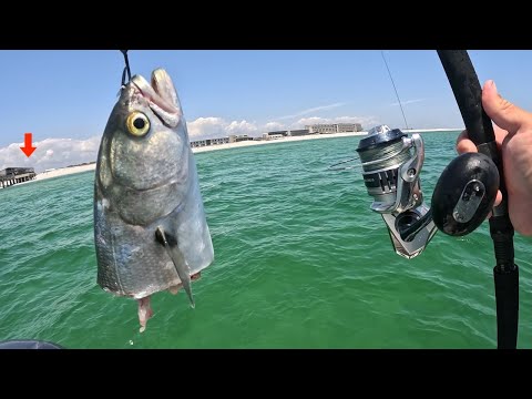 I Tossed a CUT BAIT! along this Damaged GULF PIER and Caught THIS!