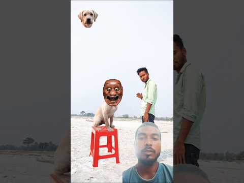 कुत्ते की सर पर बिली का चेहरा #shorts #funny #comedy #dog #vfx #doglover