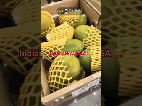 Indian mangoes in USA #fruits #mangoes #usa #youtubeshorts #shorts #yammy #shortsfeed#trending#viral