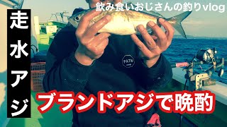 【走水の黄金アジ釣り】最高の晩酌を求めて走水へ！瀬つきアジを刺身、フライにして食う！そして呑む♪