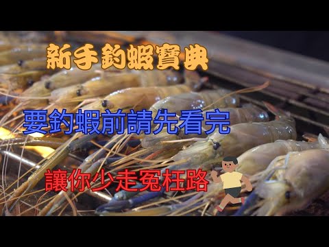 新手要釣蝦前必看三分鐘，讓你少走冤枉路