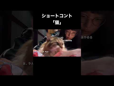 ショートコント「猫」