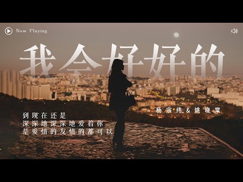 [ 动态歌词Lyrics ] 王心凌-《我会好好的》（Cover by 杨宗纬&姚晓棠）『 到现在还是深深地深深地爱着你 是爱情的友情的都可以 』