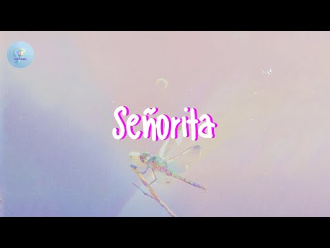 Shawn Mendes - Señorita (Lyric Video)