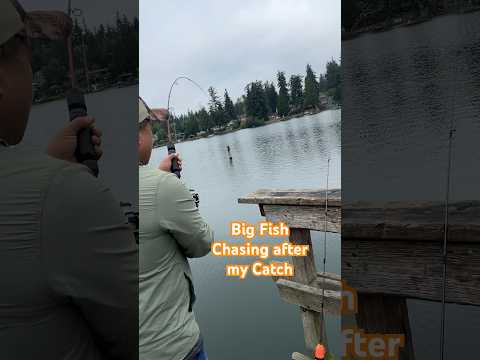 A Big Fish 🐟 Is Going After My Catch | Fishing in Federal Way, WA