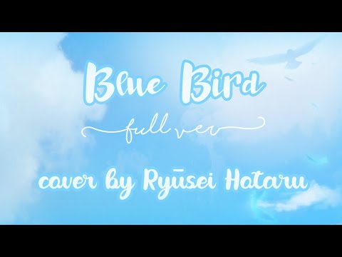 「RS」Blue bird〖Full ver〗Cover by Ryusei Hotaru