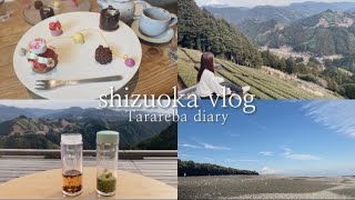 【vlog】静岡ドライブ旅🚗天空の茶の間、三保の松原、カフェ巡り☕️