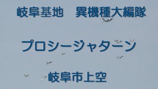 【 飛実団 異機種大編隊のプロシージャターン  ～ 岐阜市上空 】 岐阜基地 航空祭 2016