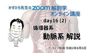 zoom解剖学 day16 (2) 循環器系 - 動脈系 解説