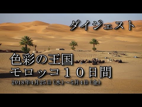 【モロッコ旅行 ダイジェスト】シャウエン～ティトゥワン～フェズ～メルズーカ～サハラ砂漠～ワルザザード～マラケシュ