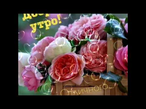 Доброе утро🌹🌹🌹удачного дня🌷🌷🌷