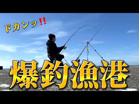 【釣り】なんだここっ‼️アタリが止まらない‼️