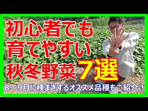 迷ったらこれ！初心者でも育てやすい秋冬野菜7選　8～9月に始める育てやすい野菜の条件は？