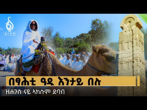 TBS TV| ቅንያት ሕዳር ፅዮን ከመይ ሓሊፉ?