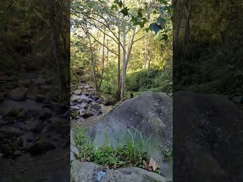 Las Pozas de La Cazuela y El Salto de los Mejía en El Río Naolinco