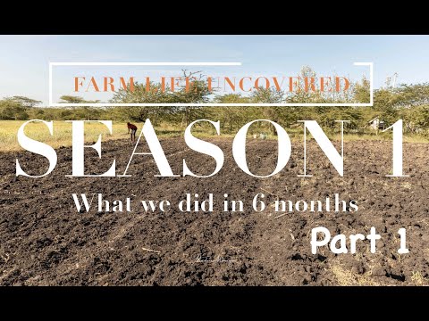 Farm Life Uncovered: A Beginner Farmer's Journey. What we did in 6 months - Season 1 Part 1