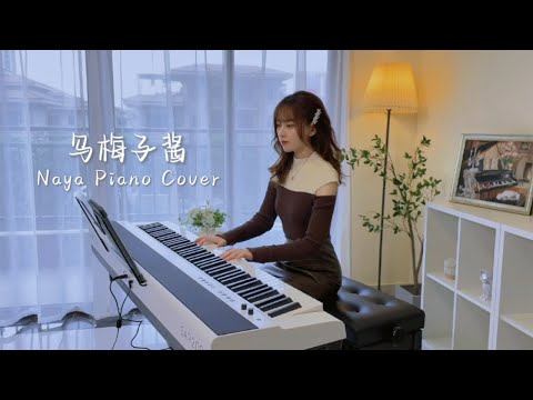 钢琴弹奏《乌梅子酱》《美丽的神话》《月半小夜曲》《Kiss The Rain》