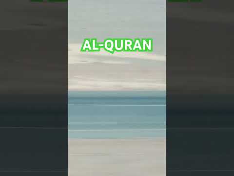 AL-QURAN #ALLAH #REHMAN #ALLAH #RAAZIQ #trainingzone #video #viralshorts #youtubviralshorts #viral