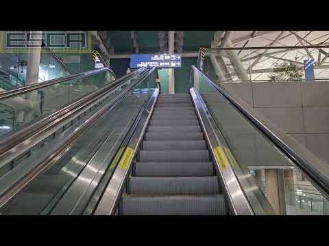 Korea Incheon International Airport ICN Escalator OTIS 2F-3F