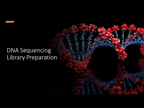 DNA sequencing library preparation